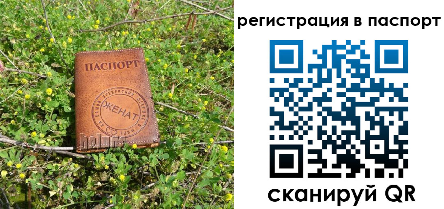 прописка законно в Подпорожье